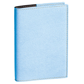 Agenda del pofessore 2025 - copertina club - 21 x 27 cm - azzurro - quo vadis