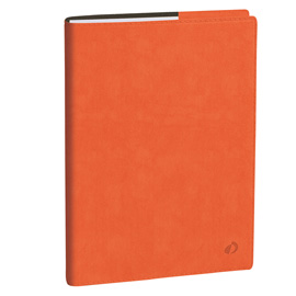 Agenda del professore 2026 - copertina roma - 21 x 27 cm - arancione - quo vadis