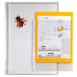 Buste forate ercole - 35x50 cm (libro) - trasparente - sei rota - conf. 10 pezzi