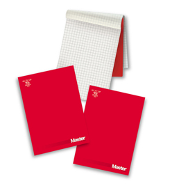 Blocco master - 10mm - 210 x 297mm - 80gr - 90 fogli - pigna