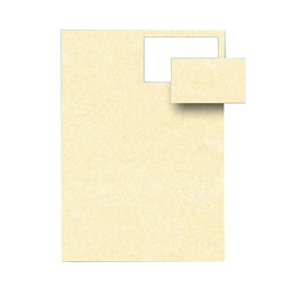 Biglietti da visita - 85 x 54 mm - 165 gr - microperforati - avorio - decadry - conf. 12 fogli da 10 biglietti