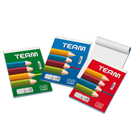 Bocco note team - 150 x 210 mm - 50 gr - 5 mm - 50 fogli - blasetti