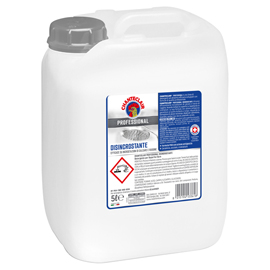 Chanteclair professional disincrostante tanica 5lt