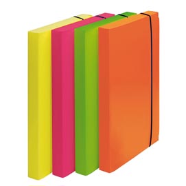 Cartella progetto shocking file - con elastico - 24x35 cm - colori fluo assortiti - fellowes