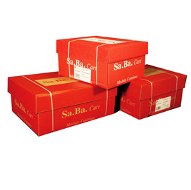 Carta modulo continuo 24x11