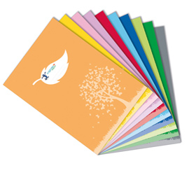 Coprimaxi colorosa green - 21 x 30 cm - c/tasche - lilla - riplast