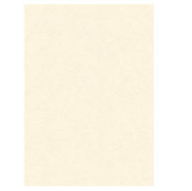 Diplomi in pergamena - stampa offset - a4 - 160 gr - neutro avorio - kartos - conf. 10 pezzi