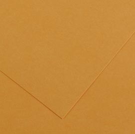 Foglio colorline - 70x100 cm - 220 gr - cuoio - canson