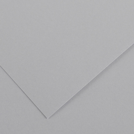Foglio colorline - 70x100 cm - 220 gr - grigio chiaro - canson