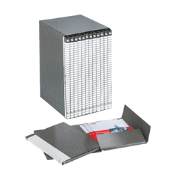 Gruppo delso line - 12 cartelle 2 lembi - con custodia - 32x25 cm -  dorso 1,5 cm - esselte