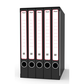 Gruppo registratori quintetto - con 5 cartelle 3 lembi - 23x32 cm - dorso 23 cm - grigio - rexel