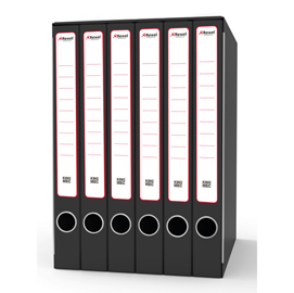 Gruppo registratori sestetto - con 6 cartelle 3 lembi - 25,5x34,5 cm - dorso 23 cm - grigio - rexel