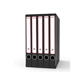 Gruppo registratori sestetto - con 6 cartelle ad anelli - 25,5x34,5 cm - dorso 23 cm - grigio - rexel