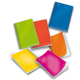 Maxiquaderno monocromo - a4 - quadretto 4mm - 70 fogli - 80gr - 4 fori - microperforato - spiralato - pigna