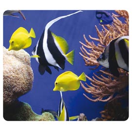 Mousepad earth series™ - sotto il mare - ecologico - fellowes