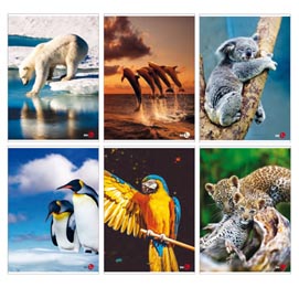 Maxiquaderno animal fantasia - a4 - 42 fogli - 80gr - quadretto 5mm - bm