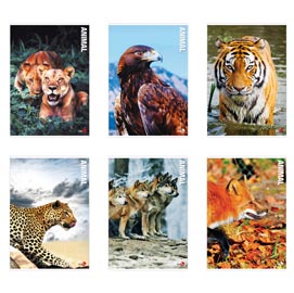 Maxiquaderno animal fantasia - a4 - 42 fogli - 80gr - 4mm con margine - bm