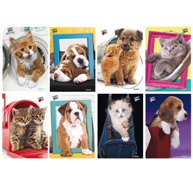 Maxiquaderno a4 20fg+1 - 80g - 1 rigo - serie cuccioli :-) 2019 - blasetti