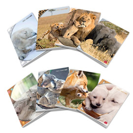 Maxiquaderno dolci cuccioli - a4 - 10 mm - 42 fogli - 80 gr - pigna