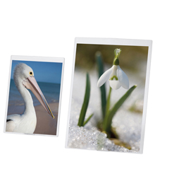 Portadepliant a4 - pvc semirigido - lebez