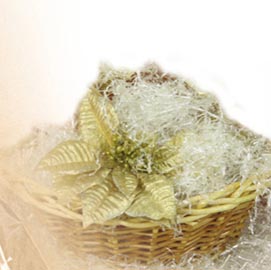 Paglietta - trasparente - 200gr - pnp