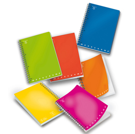 Quaderno monocromo - a5 - quadretto 4mm - 70 fogli - 80gr - 4 fori - spiralato - pigna