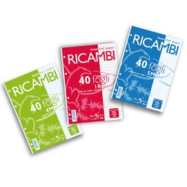 Ricambi forati quaxima - a4 - 1 rigo con margine - 80gr - 40 fogli - pigna