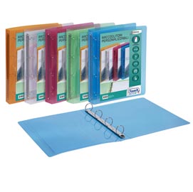 Raccoglitori personalizzabile lumina - colori assortiti - 4 anelli tondi diametro 30mm - 22x30cm - favorit