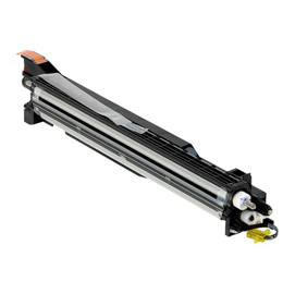 Ricoh - developer - ciano - d8093002