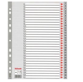 Separatore numerico 1/31 - ppl - a4 - grigio - esselte
