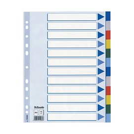 Separatore - 12 tasti colorati - ppl - a4 - multicolore - esselte