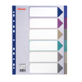 Separatore - 6 tasti - pp traslucido - a4 maxi - 24,5x29,7 cm - multicolore - esselte
