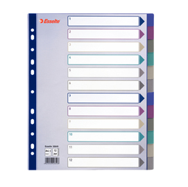 Separatore - 12 tasti - pp traslucido - a4 maxi - 24,5x29,7 cm - multicolore - esselte