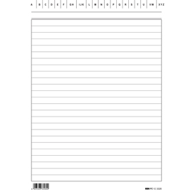 Schede in cartoncino rigate - 21x15 cm verticale - edipro - conf. 100 pezzi