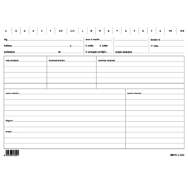 Schede per medici generici - 17x24 cm - verde - edipro - conf. 100 pezzi