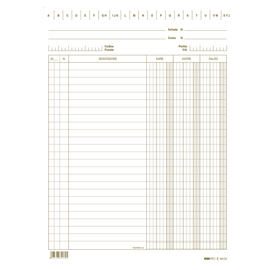 Schede dare/avere/saldo - 24 x 17 cm - verde - edipro - conf. 100 pezzi